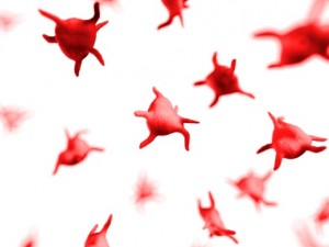 Platelets, artwork