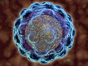 Conceptual image of hepatitis virus.