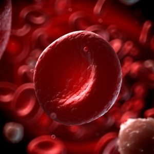 Human red blood cell, illustration