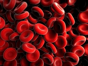 Red blood cells, artwork