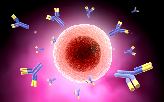 Alloimmunization To One RBC Antigen Triggers Alloimmunization To Other ...